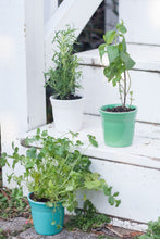 Load image into Gallery viewer, Flower Pot Set
